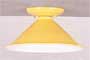 Semi-Flush Mount Ceiling Light
