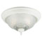 2 Light Flush Mount Ceiling Fixture Textured White Finish with Embossed Floral and Leaf Design Glass