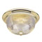 3 Light Flush Mount Ceiling Fixture Polished Brass Finish with Crystal Ribbed Glass Dome