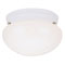 2 Light Flush Mount Ceiling Fixture White Finish with White Glass