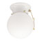 1 Light Flush Mount Ceiling Fixture with Pull Chain White Finish and White Glass Globe