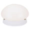1 Light Flush Mount Ceiling Fixture White Finish with White Glass