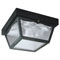 2 Light Hi-Impact Polypropylene Porch Light Black Finish with Clear Textured Glass Panels