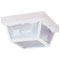 2 Light Hi-Impact Polypropylene Porch Light White Finish with Clear Textured Glass Panels