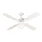 Westinghouse 42" Princess Ambiance Ceiling Fan, White Finish