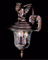 Carcassonne outdoor small wall-mounted gargoyle lantern by Framburg