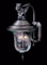 Carcassonne outdoor medium wall-mounted gargoyle lantern by Framburg