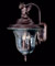 Carcassonne outdoor medium-large gargoyle wall-mounted lantern by Framburg