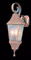 Normandy outdoor small wall-mounted lantern by Framburg