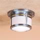 Berkeley 10" ceiling mount