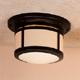 Berkeley 12" ceiling mount