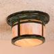 Berkeley 8" ceiling mount