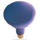 Specialty R40- Plant Grow: - 710415