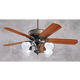 Designer Remote Weathered Bronze Finish/Teak/Natural Pine Blades/F460WB Fitter/G19 Glass Ceiling Fan