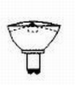 Focus Landscape Lighting - 20 Ws Bright Halogen Bulbs.