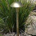 Brass Mini Mushroom Hat Area Light 