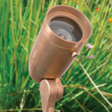 Focus Landscape Lighting - Die Cast Brass Fixtured Directional Lights 