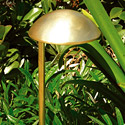 Line Voltage Brass Mushroom Hat 8" 
