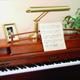 15" Shades Desk/Piano Lamps P15-80-51