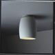 Curved Flush Mount Ceiling Light Fixture