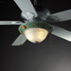 Fan Light Kit-Sports 14" Fan Light Kit by Justice Design