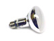 250 Watt E28  Mercury Vapor Self Ballasted Lamp - SBMV250C 