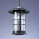 Newport 9" stem hung pendant; long body