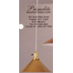 Hanging Pendant light-110/10