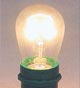 Long Life Bulbs Medium Base B11S14