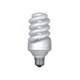 Compact Fluorescent Coil - True Daylight - Full Spectrum: Coil, R30-711625
