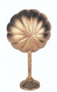 Focus Landscape Lighting - Wall Washers Flood Lights 