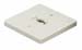 Line Voltage Monopoint Canopy
