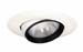Adjustable Eyeball w/ Baffle